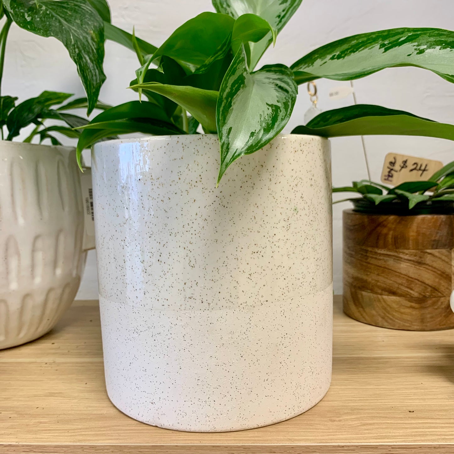Modern Textured Pot