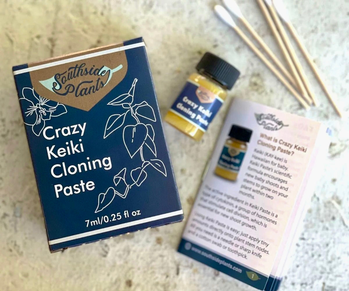 Keiki Cloning Paste