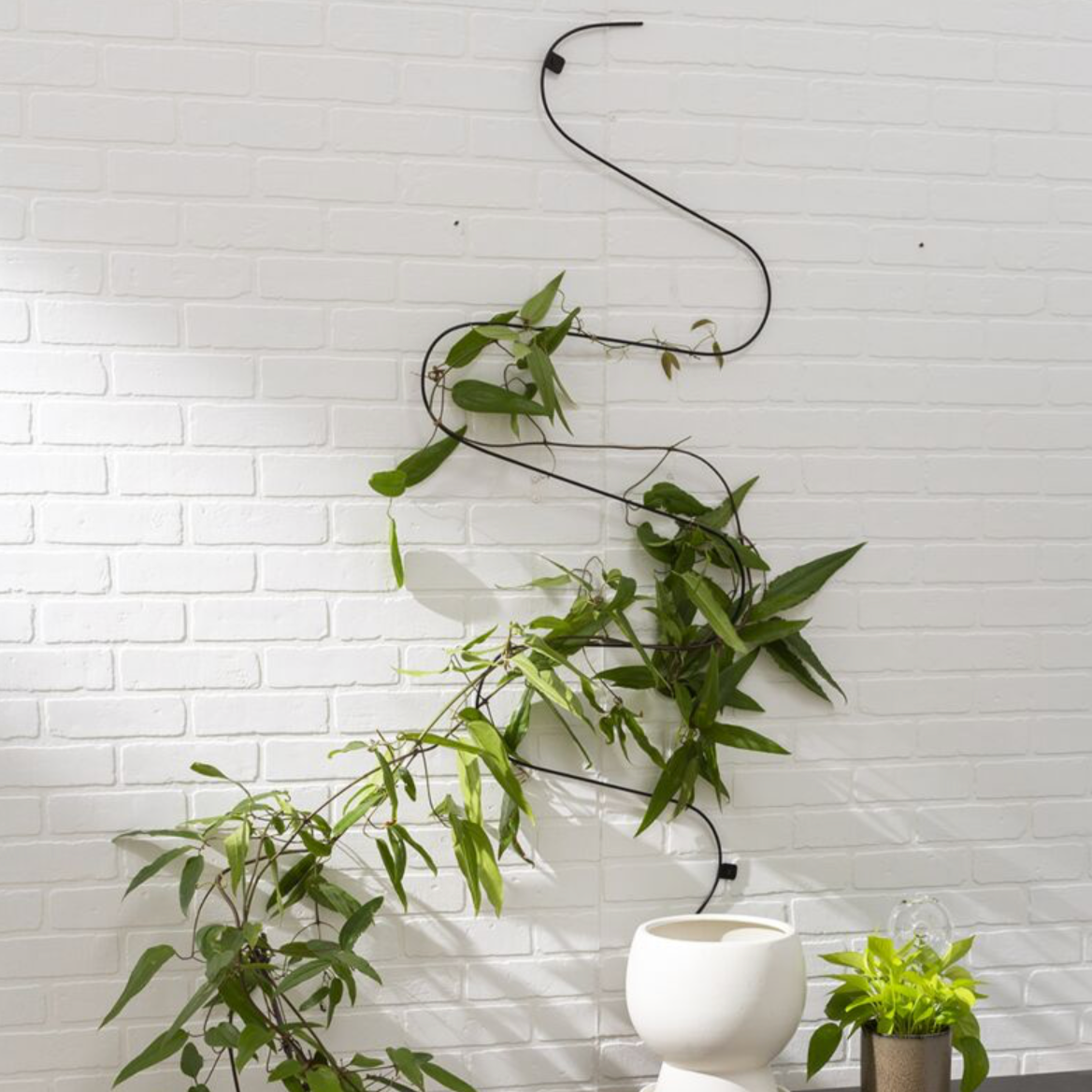 Wavy Wall Trellis