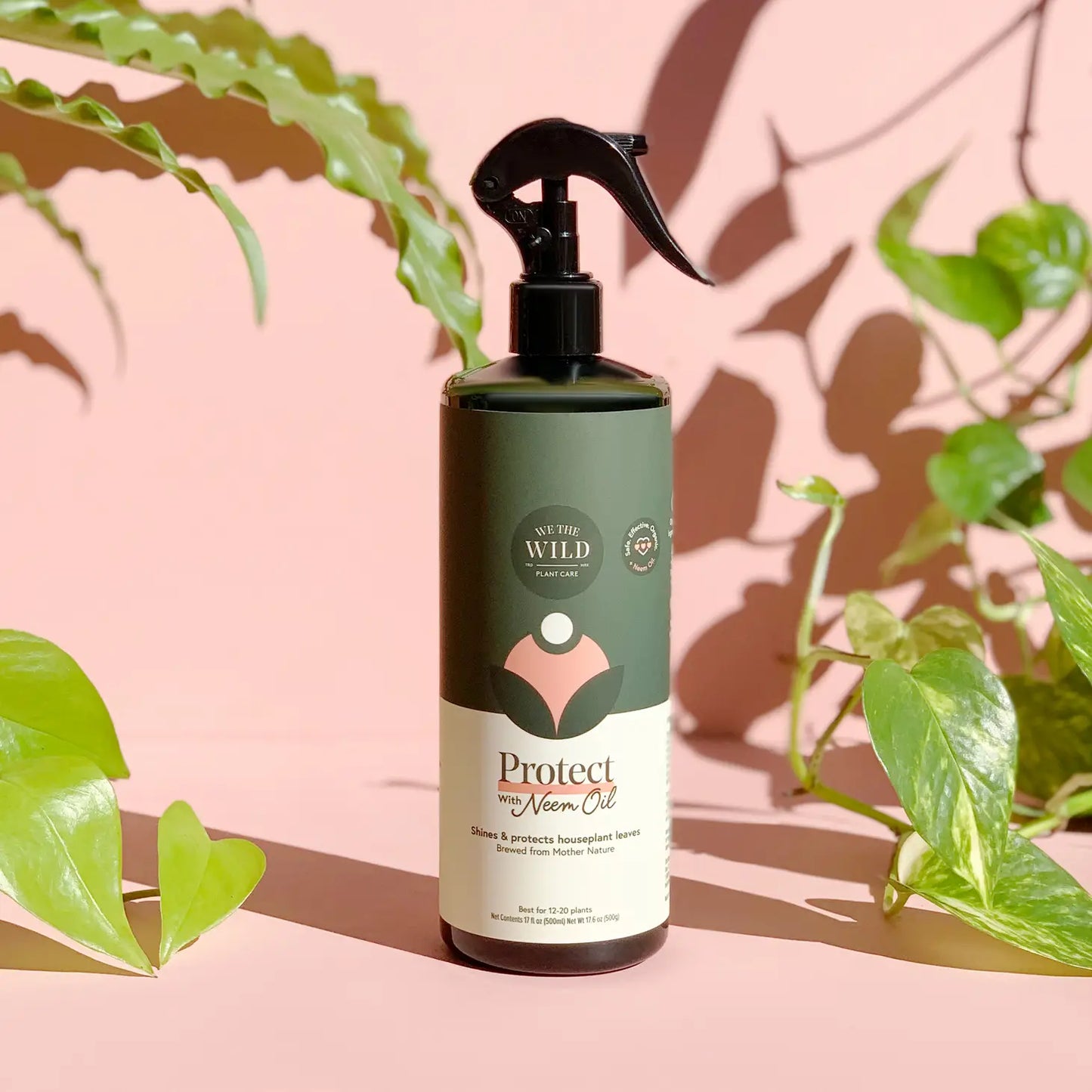 Neem Oil Protect