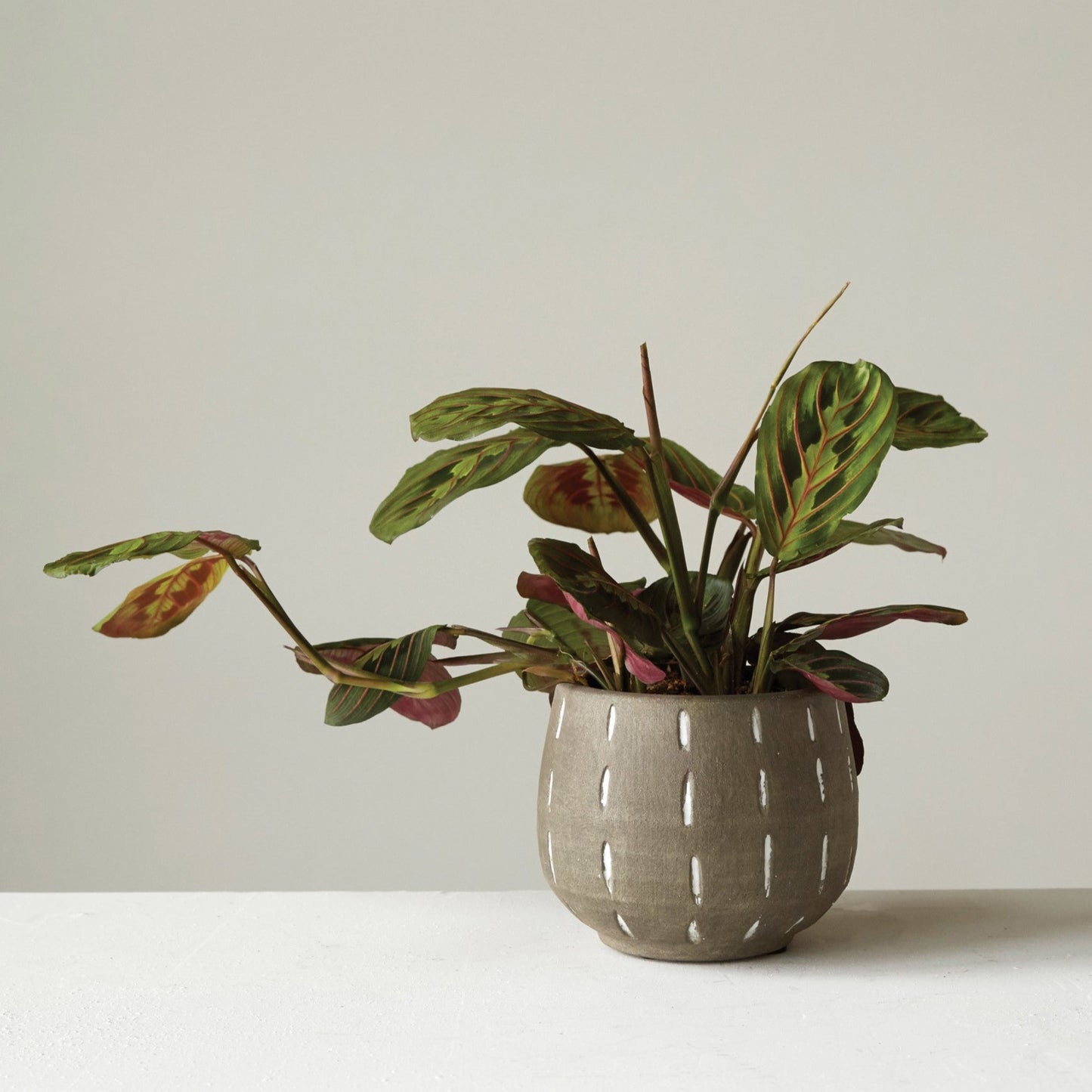 Gray Terracotta Planter
