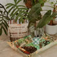 Premium Houseplant & Aroid Potting Mix