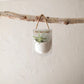 Wall Pocket Planter