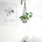 Mkono Macrame Plant Hanger Indoor Hanging Planter Basket with Wood Beads Decorative Flower Pot Holder No Tassels for Indoor Outdoor Boho Home Decor 35 Inch, Ivory, Set of 1 (POTS NOT Included)