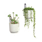 Wall Mounted Hanging Planter Vase & Geometric Wall Decor Polypropylene Container - Dia.5.91" - Sylinder Shape, White, Set of 2