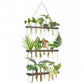 Wall Hanging Plant Propagation Station