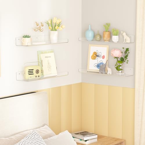 Acrylic Shelves for Wall