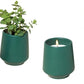 Modern Sprout Rooted Candle - 2 in 1 Scented Soy Candle with Seeds