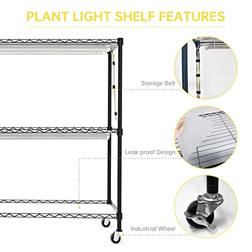 Plant Shelves with Grow Lights