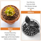 Organic Expanded Clay Pebbles for Plants | Leca