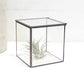 Glass Terrarium with Lid