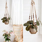 Mkono Macrame Plant Hanger Indoor Hanging Planter Basket with Wood Beads Decorative Flower Pot Holder No Tassels for Indoor Outdoor Boho Home Decor 35 Inch, Ivory, Set of 1 (POTS NOT Included)