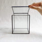 Glass Terrarium with Lid