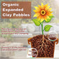 Organic Expanded Clay Pebbles for Plants | Leca