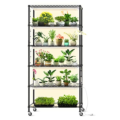 Plant Shelves with Grow Lights