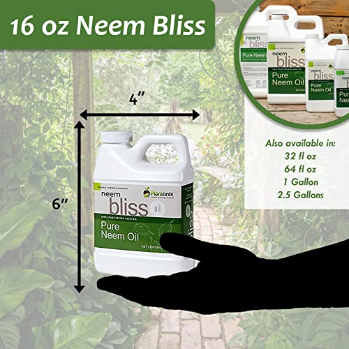 Pure Neem Oil Concentrate - 100% Cold Pressed