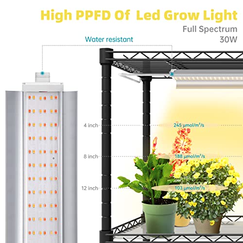 Plant Shelves with Grow Lights