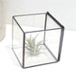 Glass Terrarium with Lid