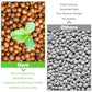 Organic Expanded Clay Pebbles for Plants | Leca
