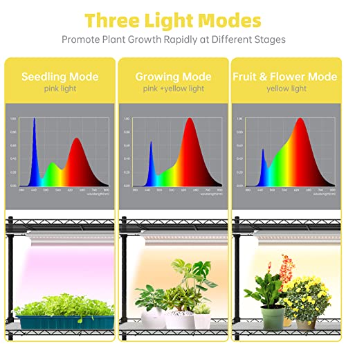 Plant Shelves with Grow Lights