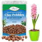 Organic Expanded Clay Pebbles for Plants | Leca