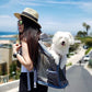 Wide Brim Straw Panama Hat