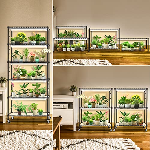 Plant Shelves with Grow Lights