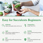 Sprout N Green Echeveria Minima, 1 Live Mini Succulent Plant Fully Rooted in 2 inch Starter Pot, Real House Plant for Indoor Outdoor Home Office Wedding Decoration Party Favor