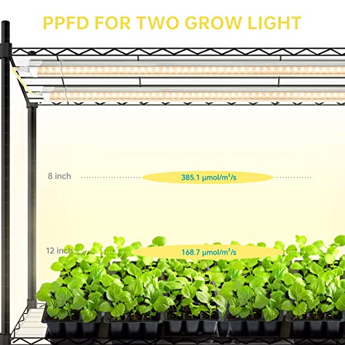 Plant Shelves with Grow Lights