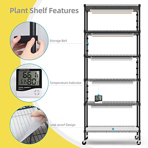 Plant Shelves with Grow Lights