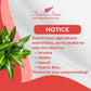 Dracaena Hawaiian Sunshine Live Plant, Indoor/Outdoor, 10-inch Grower Pot