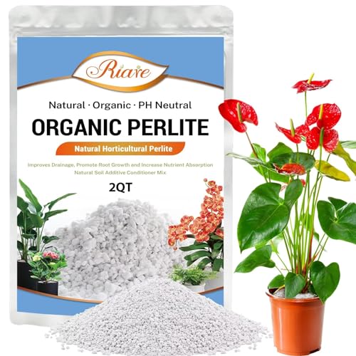 Organic Perlite | Horticultural Natural Chunky