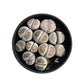 Lithops & Succulent Collection