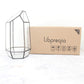 Glass Terrarium with Lid