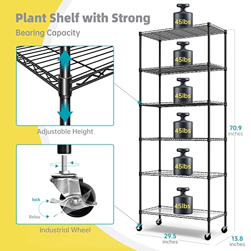 Plant Shelves with Grow Lights