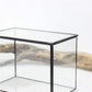 Glass Terrarium with Lid
