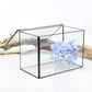 Glass Terrarium with Lid