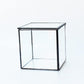 Glass Terrarium with Lid