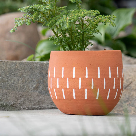 Anaise Planter