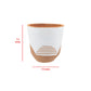 Modern White & Terracotta Planter