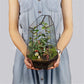 Glass Terrarium with Lid