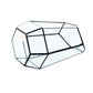 Glass Terrarium with Lid
