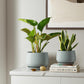 Ceramic Planter Set