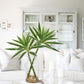 Dracaena Artificial Houseplant