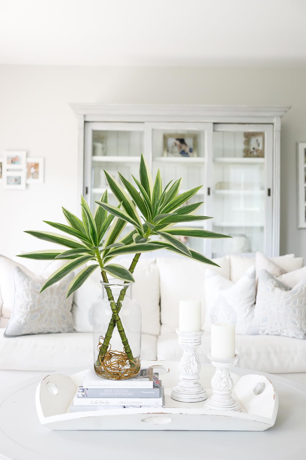 Dracaena Artificial Houseplant