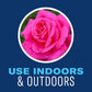 BioAdvanced Houseplant Insect & Mite Control