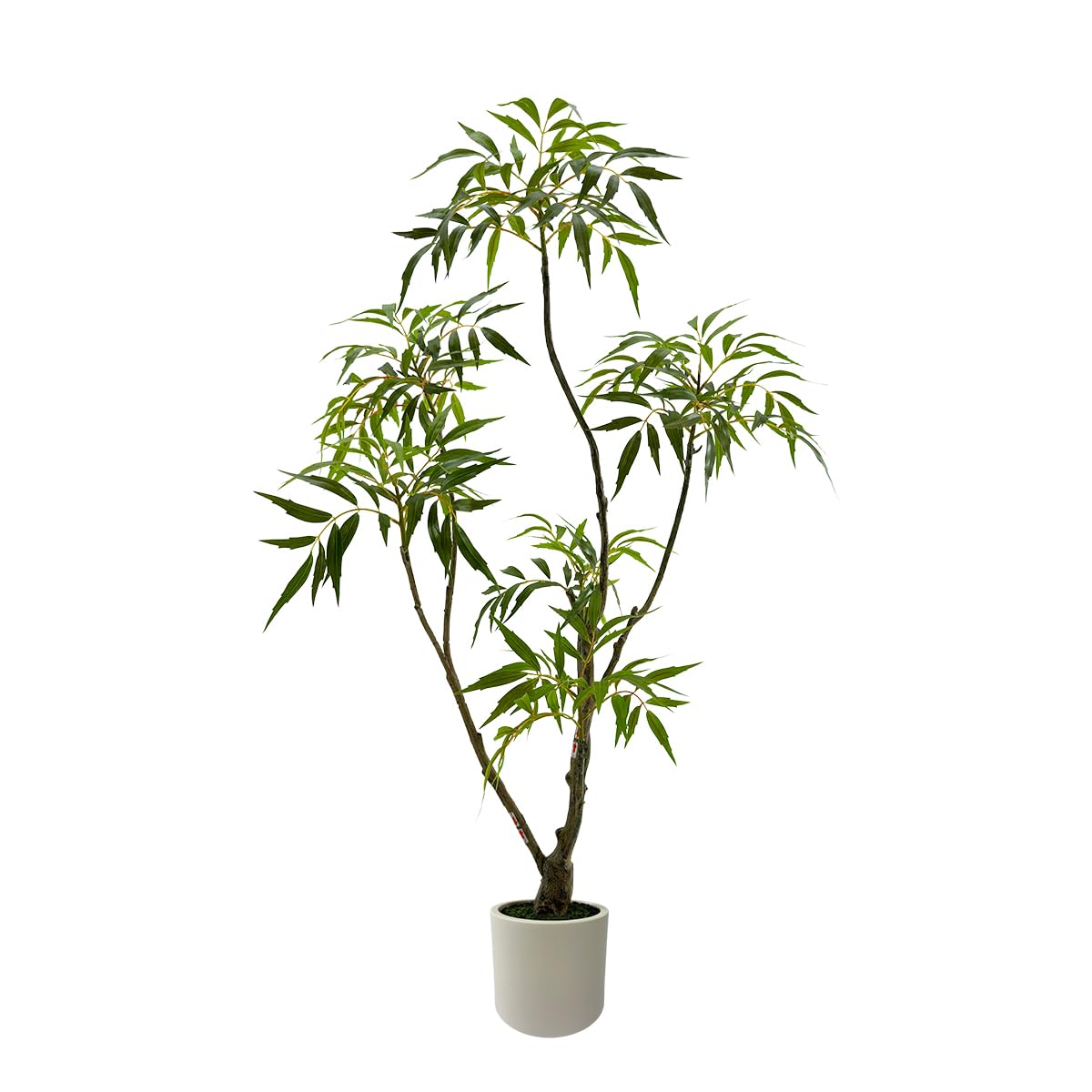 Large Fortunei Artificial Tree & Planter