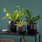 Ceramic Planter Set