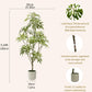 Large Fortunei Artificial Tree & Planter
