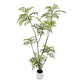Large Fortunei Artificial Tree & Planter